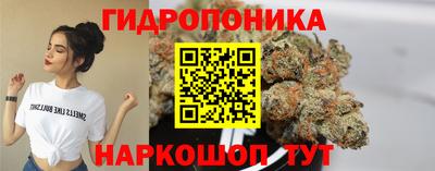 прущие грибы Вышний Волочёк