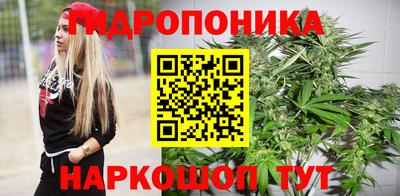 прущие грибы Вышний Волочёк