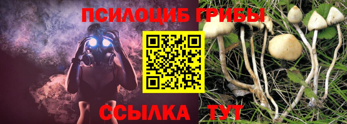 МЕФ Ачхой-Мартан